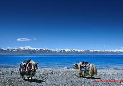 成都到拉萨、纳木措、林芝双飞七日游、西藏旅游多少钱、成都到西藏旅游线路报价