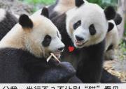 【熊猫专列】0211春节成都熊猫专列四日游（西昌+螺髻九十九里温泉）、熊猫专列在哪里报名