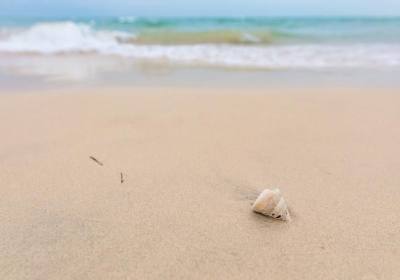 三亚哪里的沙滩可以捡贝壳、三亚哪个湾适合捡贝壳、三亚捡的贝壳能带走吗