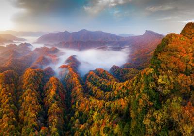 光雾山就是米仓山吗、四川光雾山旅游怎样安排合适、米仓山和光雾山哪个看红叶好