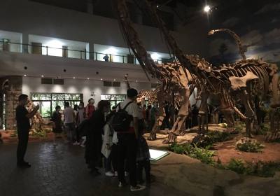 自贡恐龙博物馆门票多少钱一张、自贡恐龙博物馆有哪些恐龙化石