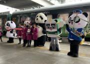 成都熊猫专列在哪里买票、成都熊猫列车旅游线路多少钱