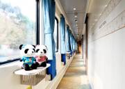 新疆熊猫旅游专列怎么买票、熊猫旅游专列票价是多少元