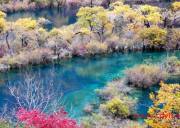 旅行社自曝“低价团”猫儿腻 形成畸形“食物链”