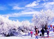 成都到西岭雪山纯玩一日游、西岭雪山旅游多少钱、西岭雪山旅游线路报价