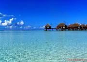 成都到斯里兰卡 、马尔代夫半自由行七晚九日游、斯里兰卡旅游多少钱、斯里兰卡旅游线路报价