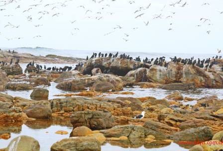 成都到南非+纳米比亚十五日游、南非旅游跟团报价多少钱