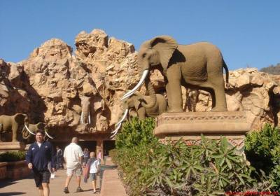 南非签证多久能办下来