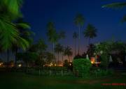 成都到斯里兰卡5晚7日尊享游、斯里兰卡旅游多少钱、斯里兰卡旅游线路报价