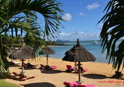 福建呼唤人性化 今年5A级景区配第三卫生间