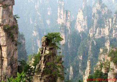 【帝王至尊】成都到长沙、韶山、张家界、天门山玻璃栈道、凤凰古城双飞五日游、去张家界旅游多少钱、张家界旅游线路报价