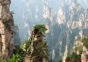 【帝王至尊】成都到长沙、韶山、张家界、天门山玻璃栈道、凤凰古城双飞五日游、去张家界旅游多少钱、张家界旅游线路报价