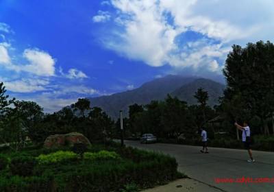 银川到苏峪口国家森林公园怎么去、怎么坐车去