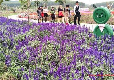 南宁怎么去花雨湖、地址是在哪里