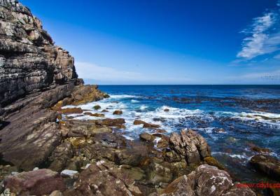 成都飞南非几个小时