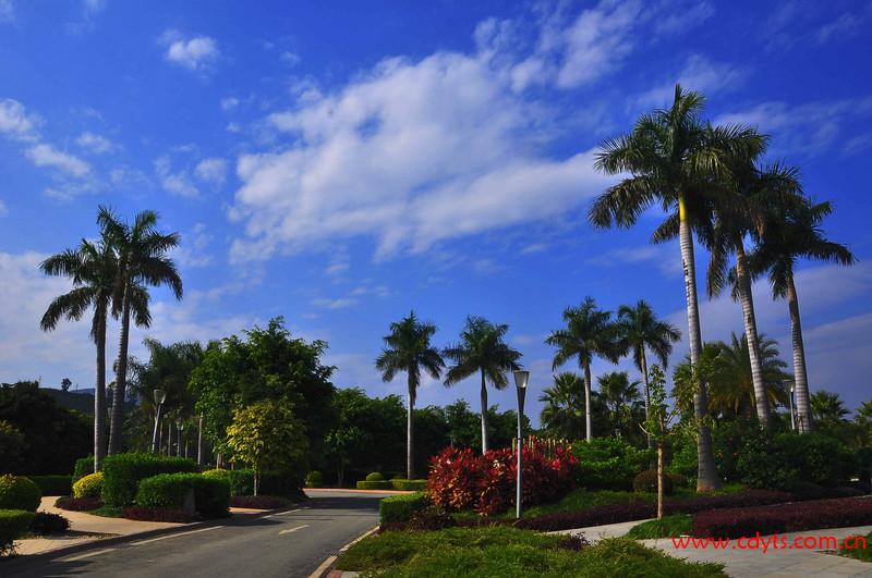 Cg-4jVLAMKWID3nVAAlTws5kNucAAAvYALq0h4ACVPa817