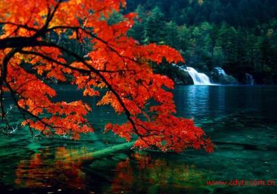 【遇见金秋】成都到若尔盖大草原、松坪沟、花湖汽车纯玩三日游、若尔盖旅游多少钱、若尔盖旅游线路报价