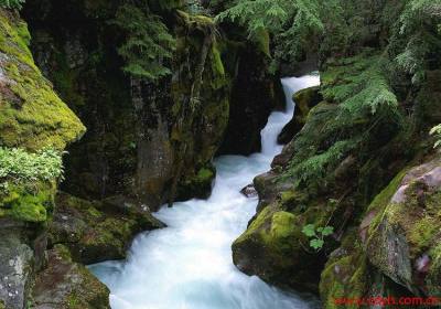 旅游出行前心脏不适旅行社拒绝退还押金