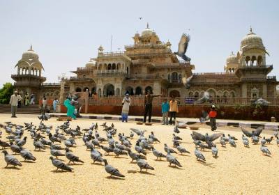 成都到印度签证好办吗、去印度办签证要多久