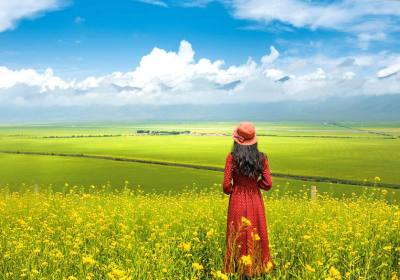 青海湖六日游多少钱、青海湖旅游六日游报团价格