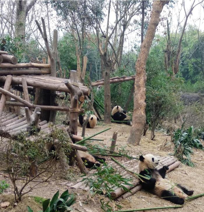 422764039ca24e5dbe6e593de460178a