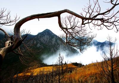 黑竹沟三日游多少钱、黑竹沟旅游团三日游价格、黑竹沟旅游报团报价