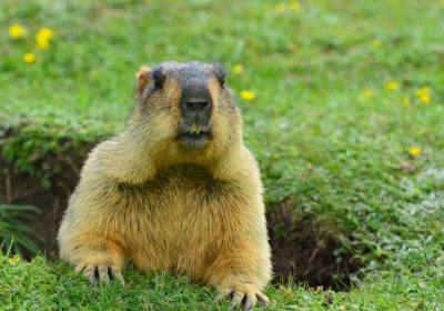 成都到丹巴、莫斯卡、甲居藏寨户外纯玩三日游、丹巴旅游多少钱、丹巴旅游线路报价