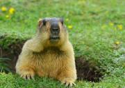 成都到丹巴、莫斯卡、甲居藏寨户外纯玩三日游、丹巴旅游多少钱、丹巴旅游线路报价