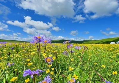 俄木塘在哪里、俄木塘在哪个省哪个市、俄木塘在什么地方