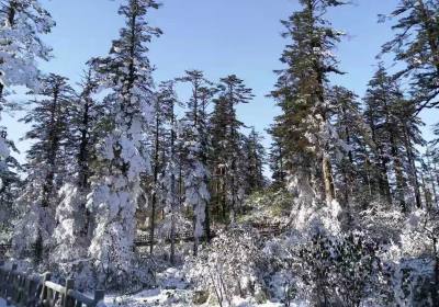 瓦屋山一日游跟团多少钱、瓦屋山二日游跟团费用、瓦屋山柳江古镇二日游多少钱