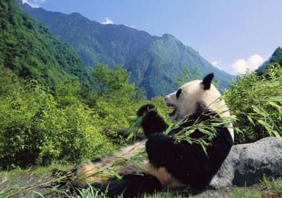 成都到青城山包车价格（成都到青城山拼车电话号码）