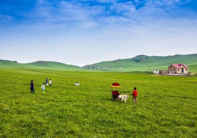 乌兰布统草原和坝上草原哪个好、乌兰布统草原最佳旅游时间