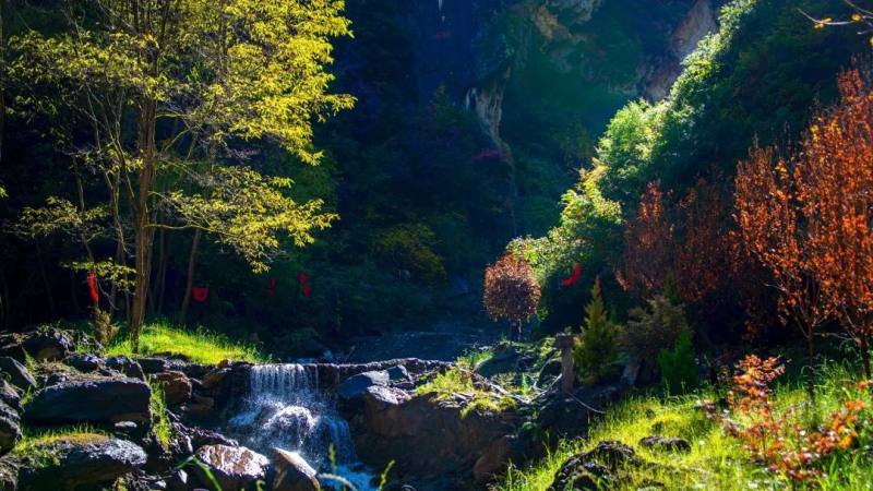 b92cee022964470586bc2674c97ce7020