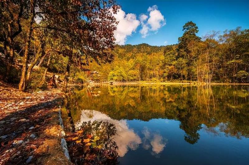 1657123903bd43d2a29ce55eb99cf6ff_noop