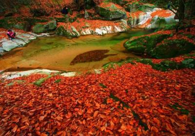 巴中光雾山四日游多少钱、南江光雾山四日游最佳路线