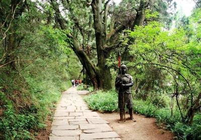 翠云廊一日游多少钱、翠云廊游玩时间需要多久