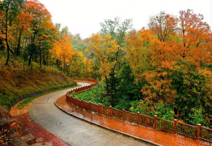 微信图片_20231006102616