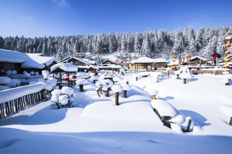 204c371a41d744e6af098f1db56e8c92~noop