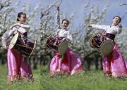 成都到朝鲜平壤+开城+沈阳+丹东双飞七日游线路、朝鲜七天六晚旅游要多少钱