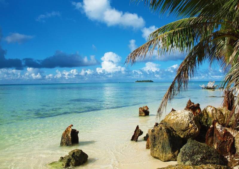 1f5494356ebc42058044d5659f16aac8~noop