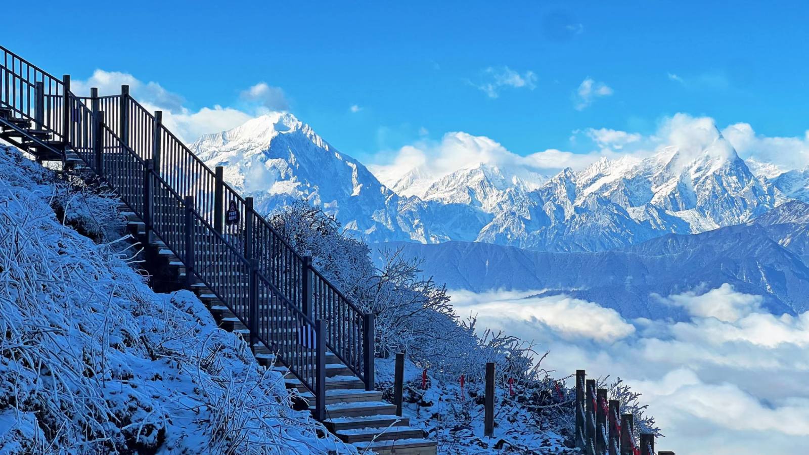 微信图片_20240508085905