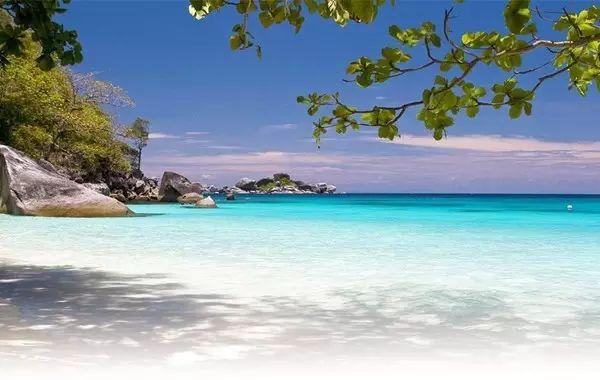 471f000205dbc342a725~noop