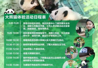 熊猫义工一日营收费多少钱、熊猫义工怎么预约