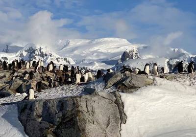 南极旅游需要多少费用（南极旅游团报价及天数）