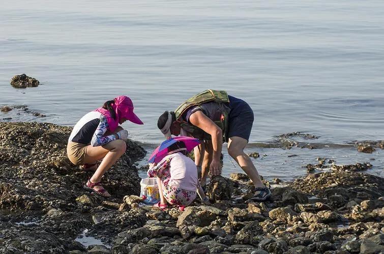 ee13b6b3f84e478a9407e9db2a7653be~noop