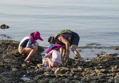 赶海是涨潮去还是退潮去（赶海是早上去还是晚上去）