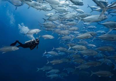 仙本那旅游多少钱（仙本那旅游多少钱跟团）