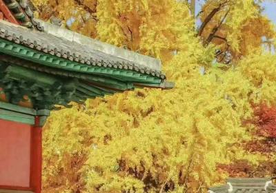 韩国游多少钱（韩国旅游一般多少钱）