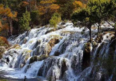 包车去四川旅游多少钱（四川包车旅游攻略）
