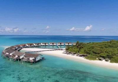 从成都到马尔代夫要花多少费用（成都到马尔代夫直飞几个小时）